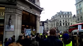 Canada goose protest
