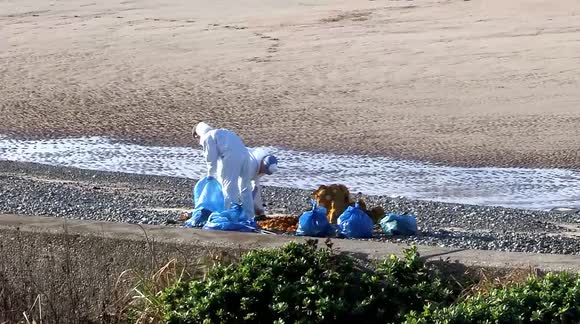 Mysterious  substance washes up on UK beach