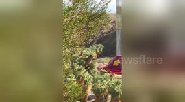 Newsflare Edit - Slow motion hummingbirds at the Indian Canyons Heritage Park trading post in Palm Springs
