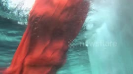 Seeing land for the first time in 6 weeks.