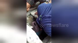 Seven men rescue kittens trapped in concrete sewer