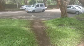 Calm on streets of Harare after Mugabe's house arrest