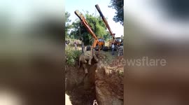 Marathon rescue effort pulls out adult elephant from 20-feet well