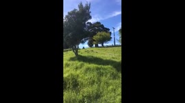 Big build up to nothing