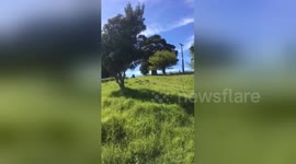 Newsflare Edit - Big build up to nothing