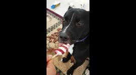 Rocko enjoying a twister a bit too much