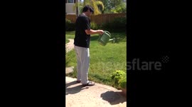 Hummingbird drinks from watering can