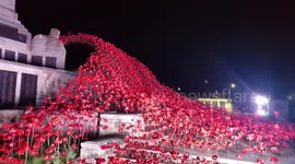 Stunning remembrance exhibit opens in Plymouth Hoe, UK
