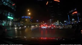 Dog crosses street and causes accident