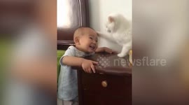 Cat makes baby cry with vicious slap to the head