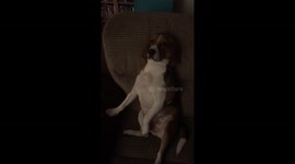 When you fall asleep on the sofa and get told to go to bed