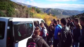 Can you count how many people are driving in these two vans?