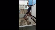 temp