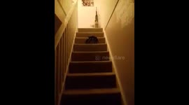 Pranking Boy he jumps with a fright when he see's the biggest spider ever