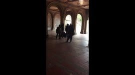 Street performers in Central Park- New York