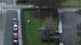 Pony lost in small park in East London