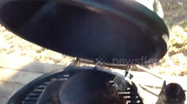 Big Green Egg Smoker - Smoked Turkey Thanksgiving 2017 review