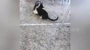 temp