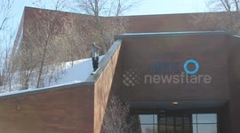 Close call for roof fall