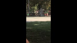 KID PEDALING ON A BIKE CRASH INTO BUSHES