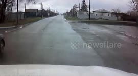 ДТП Сбил корову