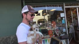 Magic Magic star, Matt Bomer with his new PUPPY!!! - Cuteness Overload