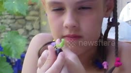 A girl and a praying mantis. Summer rest.