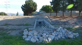 Unbelievable drone  footage of two eagles... Extreme close up