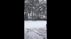 It’s Snowing in Mississippi!