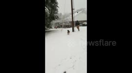 South Louisiana Snow Day