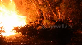 Firefighters cut themselves an escape route from huge California blaze