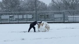 Strongman beaten by giant snowball he rolled from handful of snow