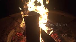 Fireplace in the forest