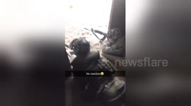 Newsflare Edit - Throwing a grenade on your teammates