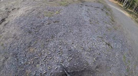 Shotgun at the range