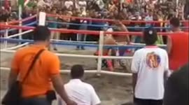Professional Beach Boxing Championship-1