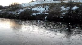 The Canal is Frozen!