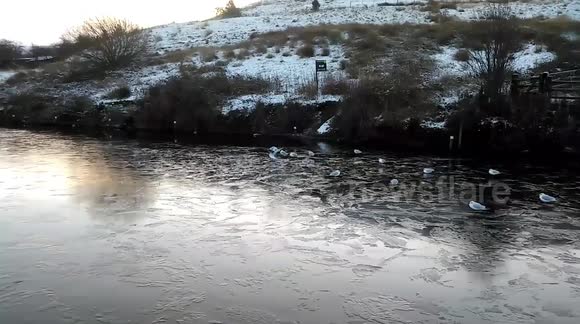 The Canal is Frozen!