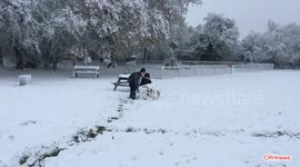 Rescued dog Buddy helps build giant snowball