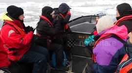 Tourists get stranded in Antartica sea ice