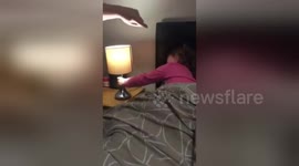 Dad and daughter experiment with conductivity with touch-sensitive lamp