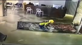 Deliveryman falls into fish pond in hotel