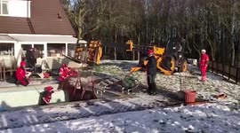 Firefighters rescue hapless horse that slipped on ice and plunged into swimming pool