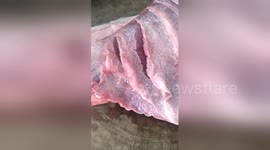 Huge slab of raw beef twitches on chopping board