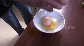 Man breaks huge egg to find another inside