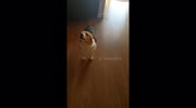 temp