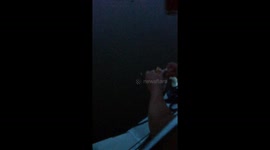 Swan goes for finger