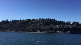 Ferry to Bainbridge Island from seattle