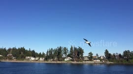 A shot from a ferry going to Bainbridge Island in seattle