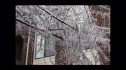 temp